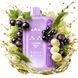ЕІf Ваг ВС 45000 25ml Blackcurrant grape Чорна смородина виноград 101188 фото