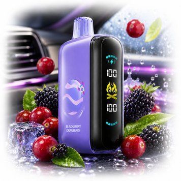ЕІf Ваг RAYA GН25000 Blackberry Cranberry Ежевика Клюква 110806 фото